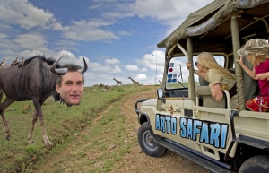 Arto Safari 1