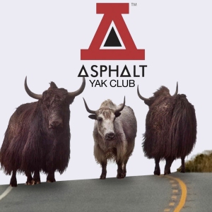 asphalt yak